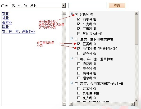 申请人选择中类或小类